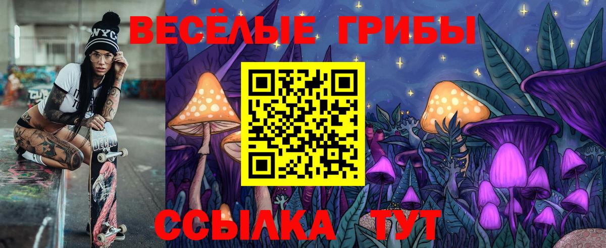 Новочеркасск  Галлюциногенные грибы ЛСД  Галлюциногенные грибы мицелий  Вход с VPN 